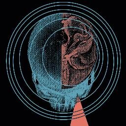 Illustrator / Designer