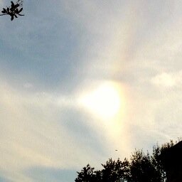 donreconnnect's profile picture. 