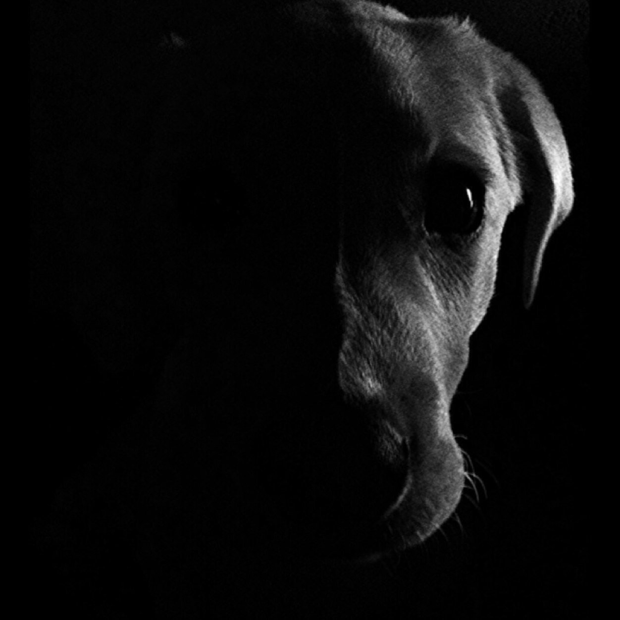 DjBoochOfficial's profile picture. Official L'One Dj, Music Producer