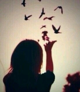 meemooooo1411's profile picture. MARYAM FAHAD