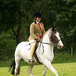 All things equestrian