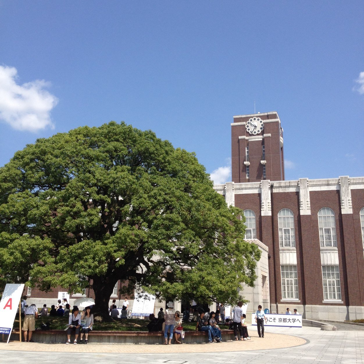 京大/慶應経済/商に合格✨一時期、東大、一橋、阪大、神大も目指していたので入試問題を解いたことがあります❗️相談があればDMで4649❗️