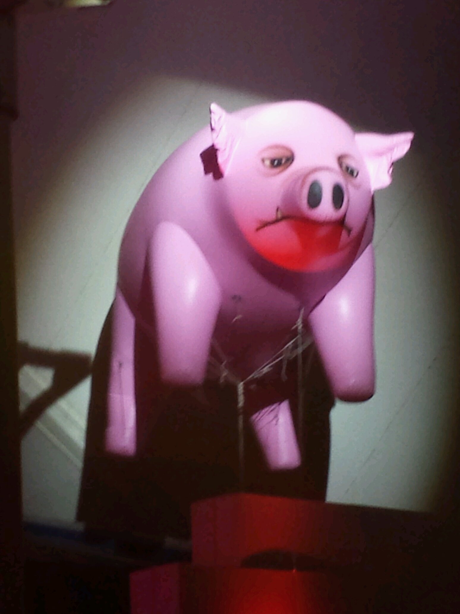 kevinb1973's profile picture. 