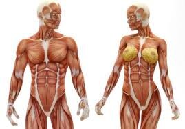 Crecimiento masivo de masa muscular