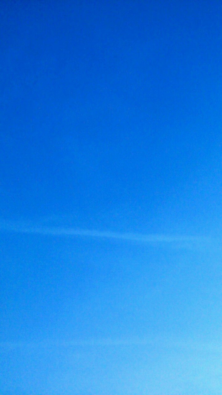 sasakama____'s profile picture. 