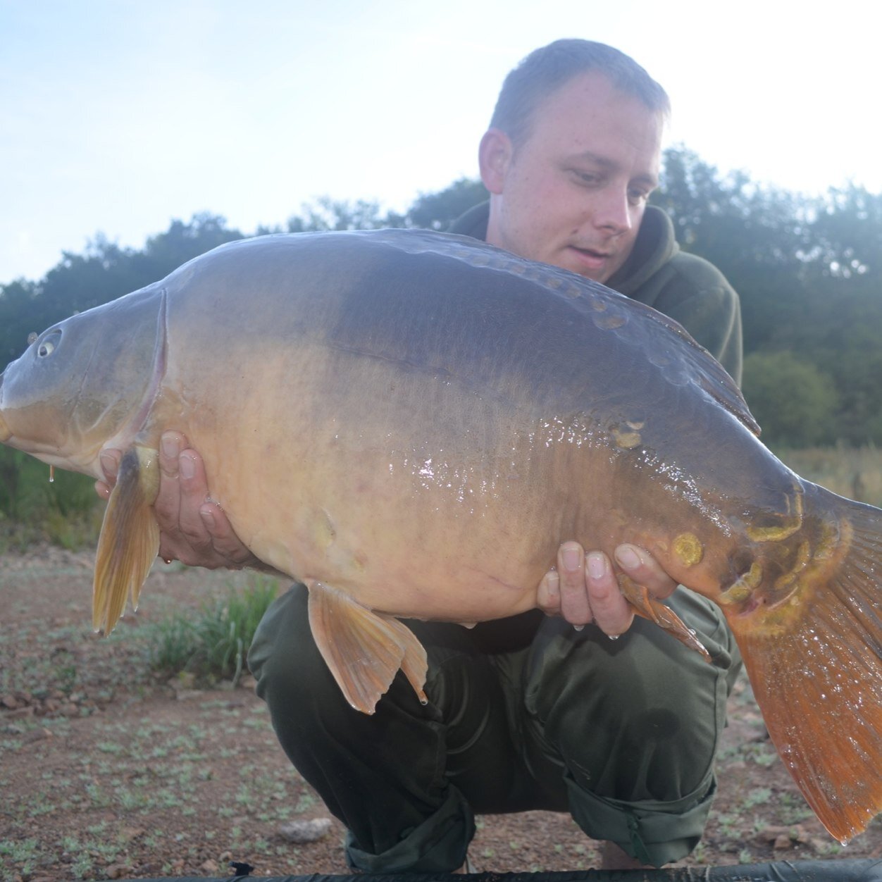 aotten8's profile picture. Its not about the size of the carp, its the rush when you standing there with a curved rod and a stressed line!!