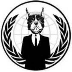 #Anonymous #Puppy #Pups #AnimalRights