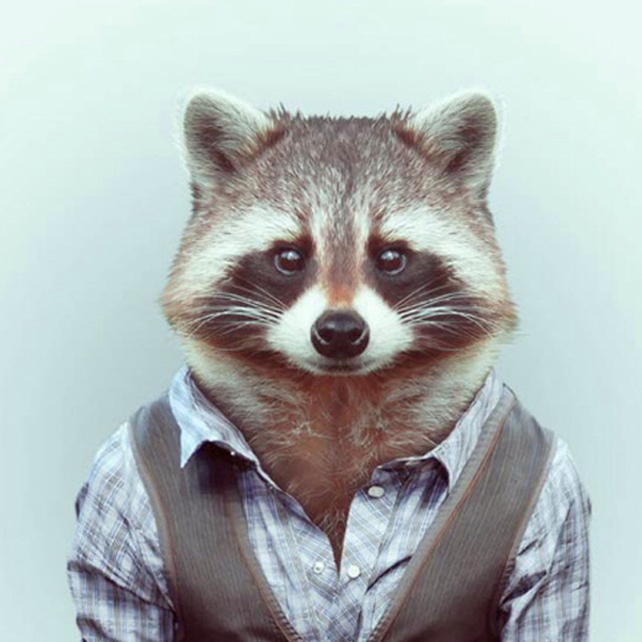 dUSDreads Profile Picture