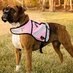 PooBoss, LLC. (@agreendog) Twitter profile photo