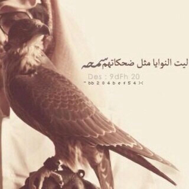 711_mama's profile picture. 