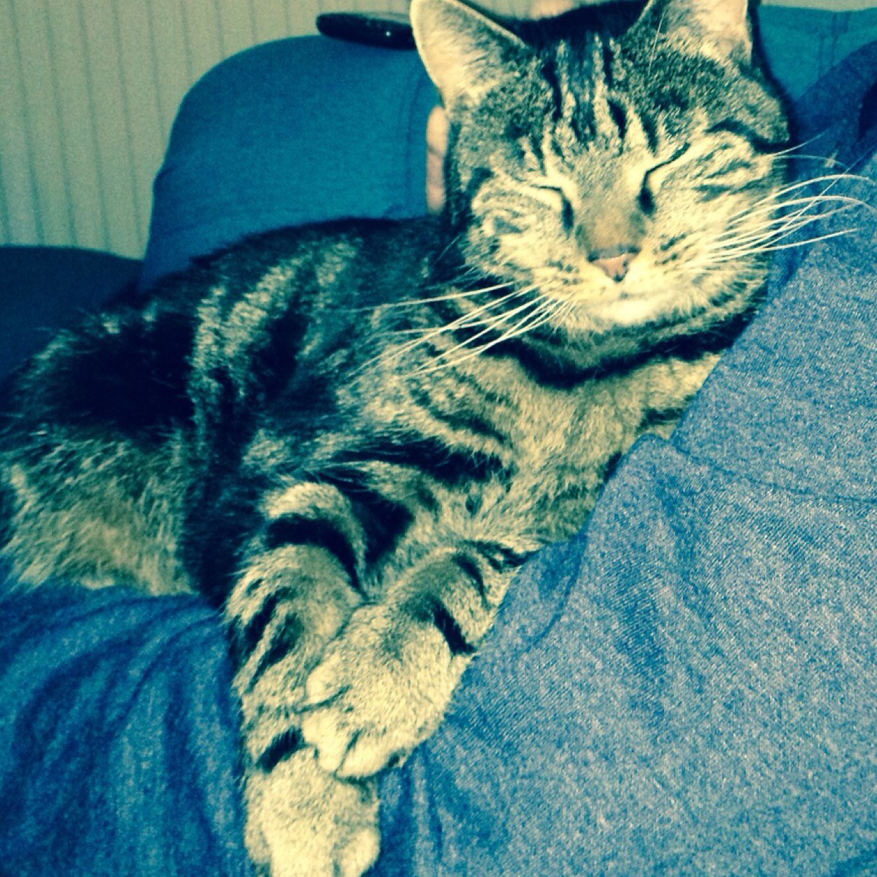 phillippalj's profile picture. 