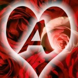 XxSix1ThreeXx Profile Picture