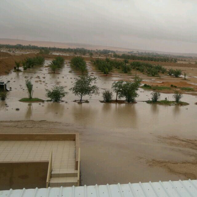 *وأذكر ربك إذا نسيت*