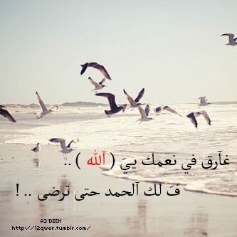 استغفر الله واتوب اليه