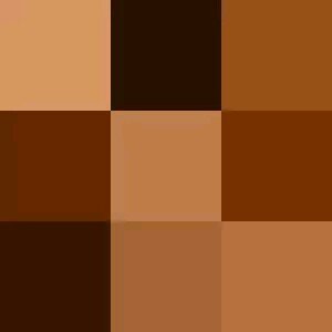 I'm not black I'm brown bitch
