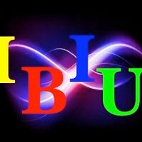 IBIU Global (@ibiuglobal) 's Twitter Profile