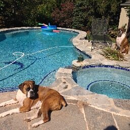 In-ground swimming pool service, maintenance, products and supplies.