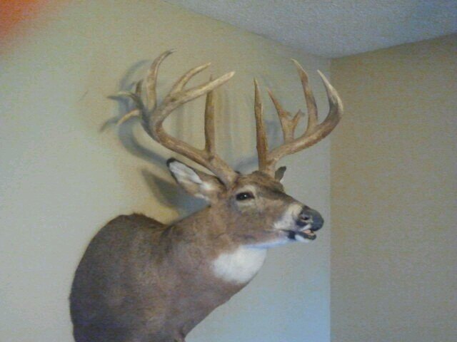 Shooterbuck200's profile picture. 