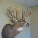 Wes Holmes - @Shooterbuck200 - Twitter