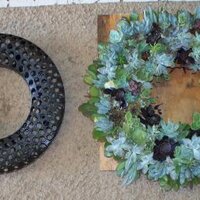 LivingCreations (@reusablewreaths) 's Twitter Profile