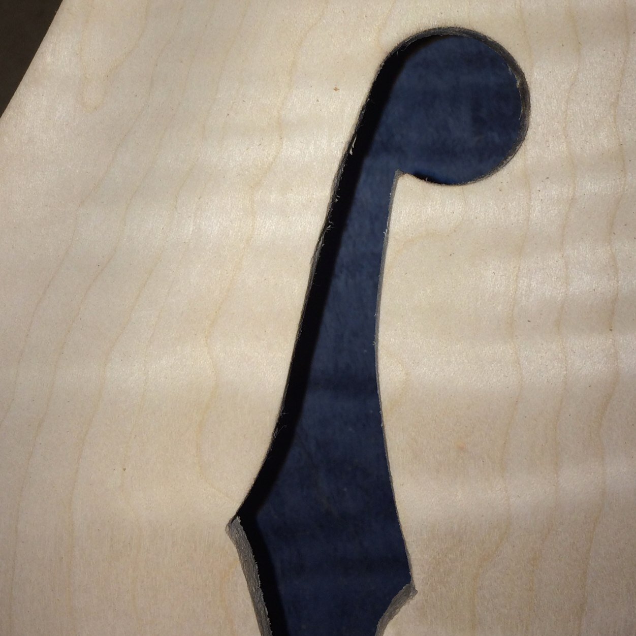 Woodworker and luthier.