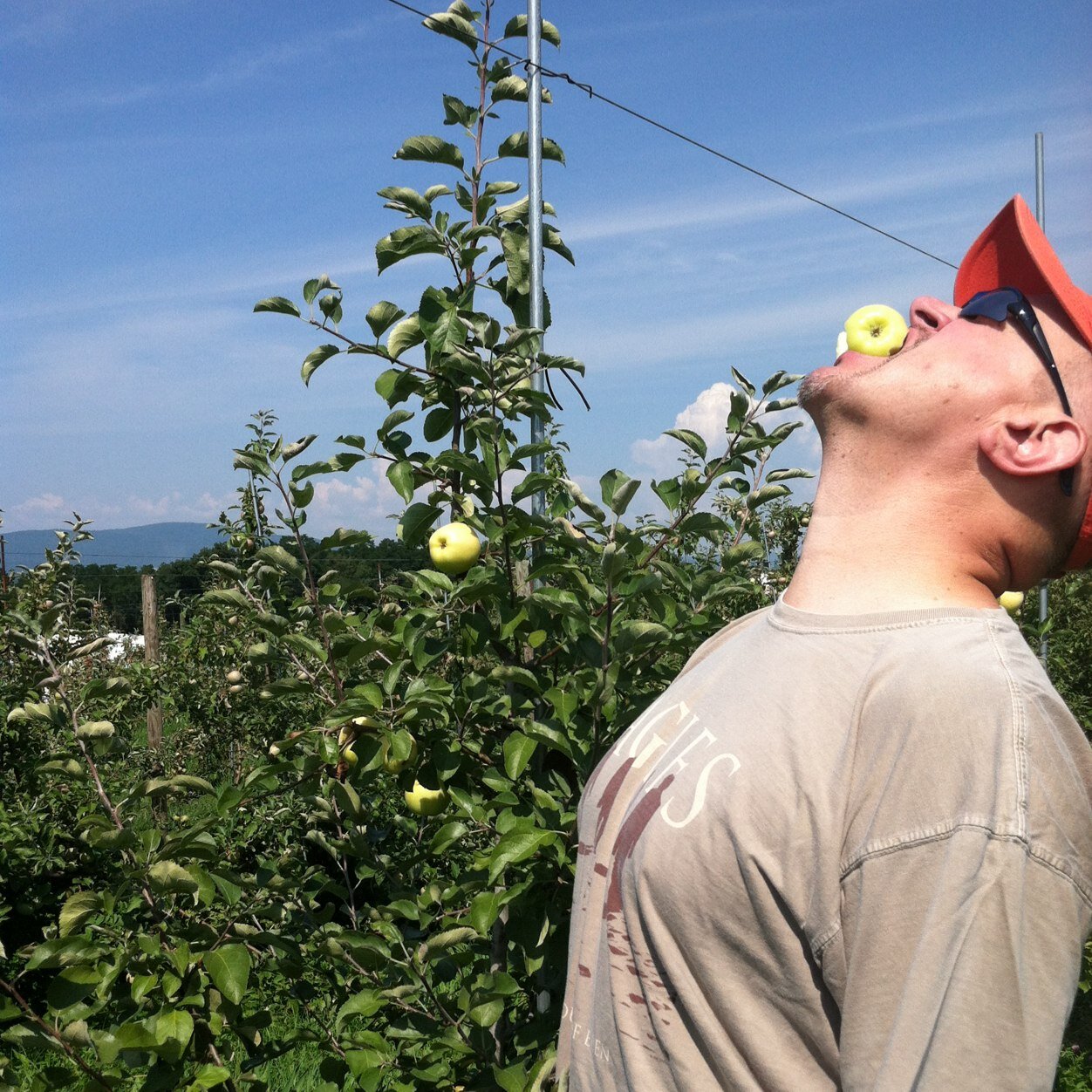 Don Linden (don_linden) Twitter