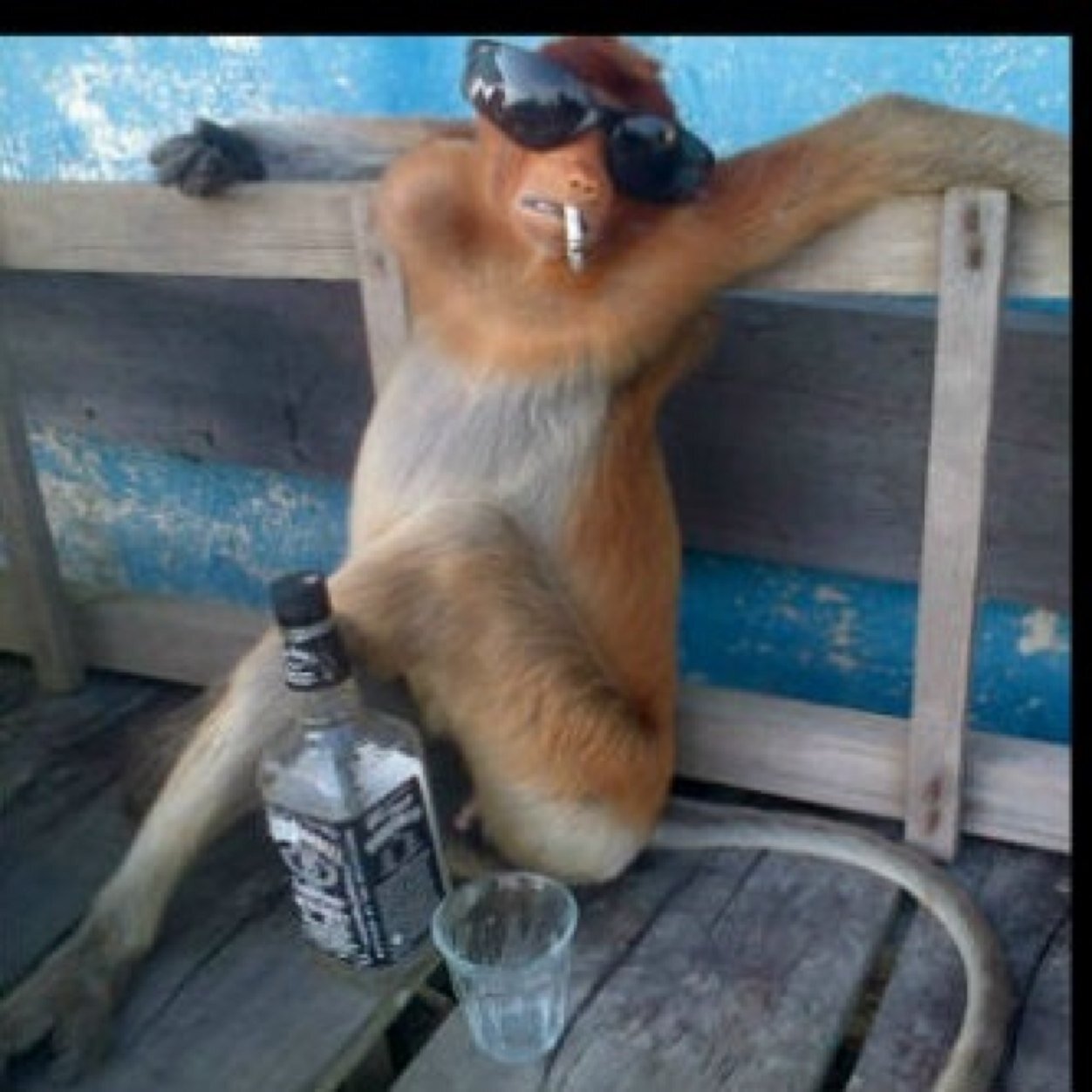 silverbook76's profile picture. 