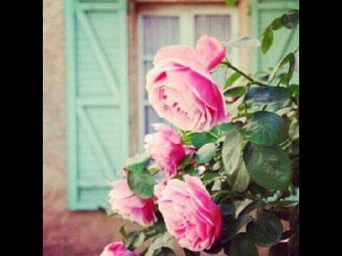 اللهم اجعلني من طاب ذكرهم وحسنت سيرتهم واستمر أجره في حياته وبعد موته.