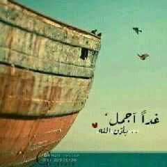 hseb el Bio fady :v