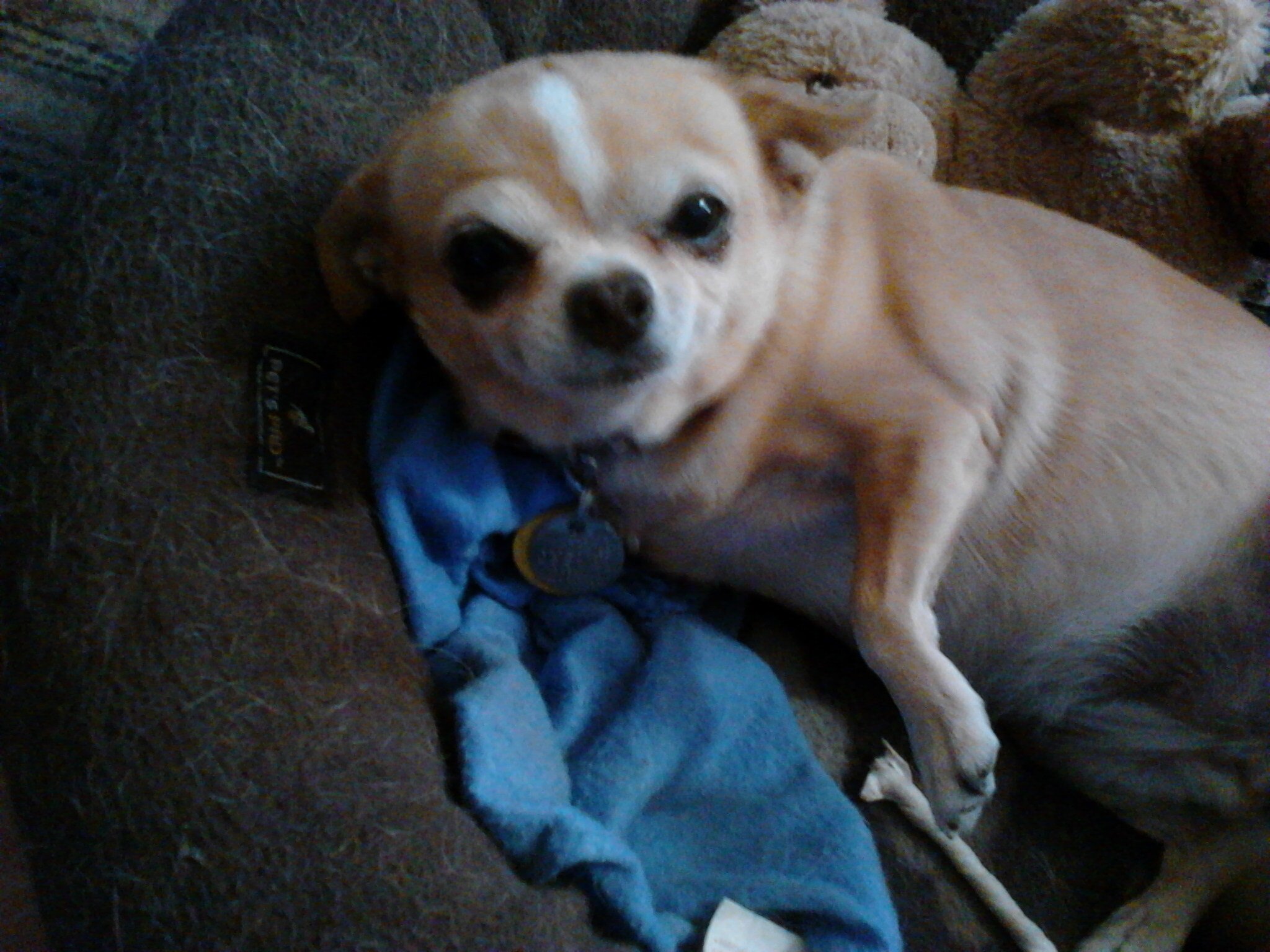 dbroberts_1's profile picture. love dogs, single work with childrens