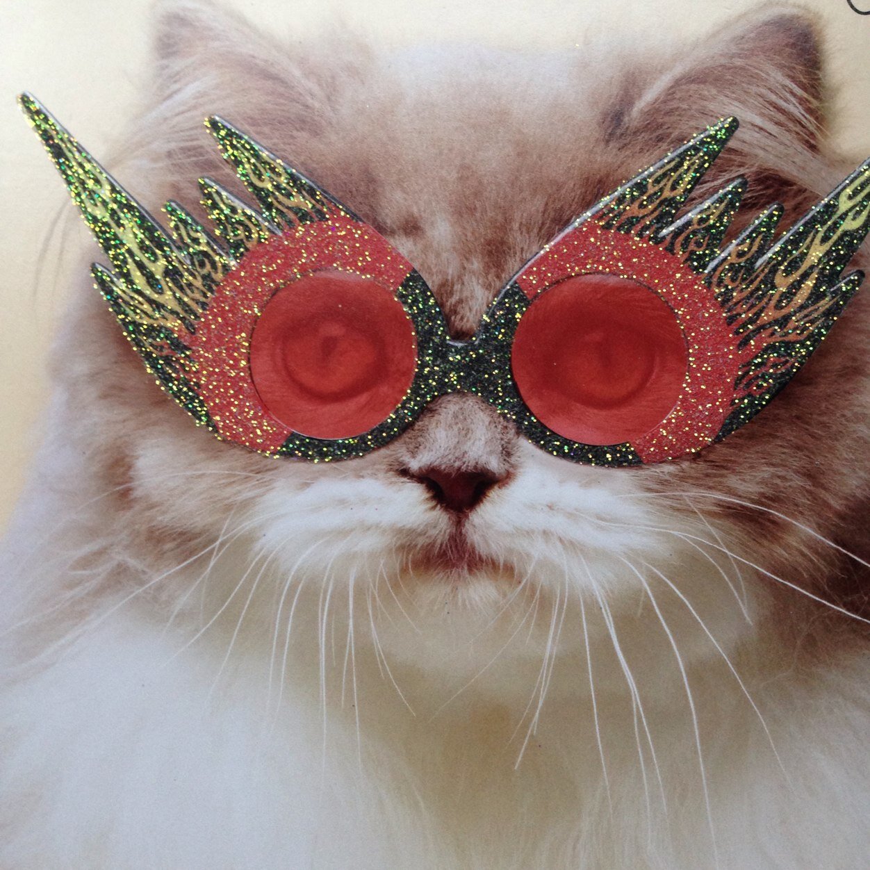 sherlockhlms01's profile picture. Progessive,interested in the psychology of politics.  Believer of gun control, lover of animals. UniteBlue