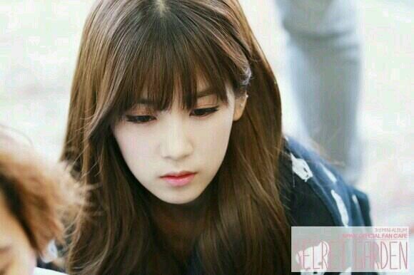 APINK [ Single Woles ]