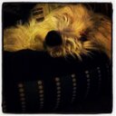 Jared Bellamy - @merceyzues - Twitter