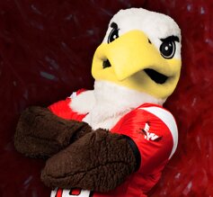 ConfessionsSUU's profile picture. Ditch the politics, spill the dirt. All tweets are anonymous. tbirdconfessions@gmail.com 
 We are not associated with SUU