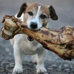 u sto šesdeset slova je bilo što teško opisati,a kamoli mene ;)