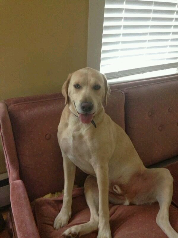 Woodchuck289's profile picture. 