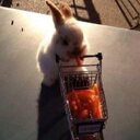 Danielle Pecora - @dlpecora - Twitter