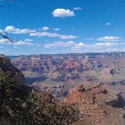 ngriffin823's profile picture. 