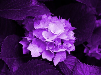 jenhowell55's profile picture. 