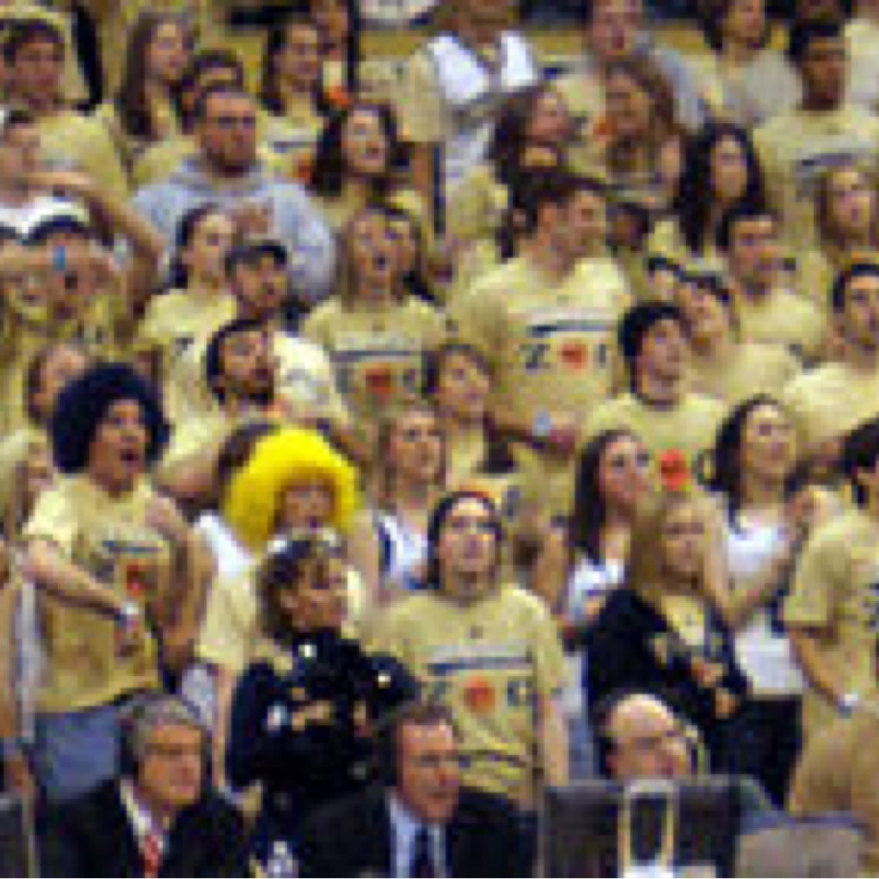 DM me gossip about student sections!