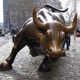 RoverWallace's profile picture. 