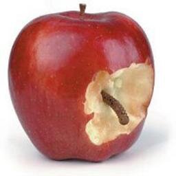 Reasons why Apple products are only popular with iSuckers.