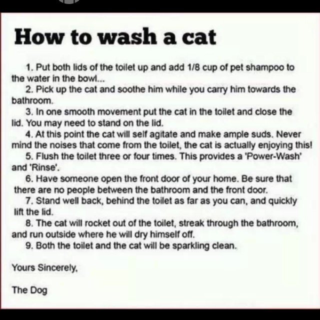 reaganrules01's profile picture. 