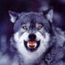 Andrea Fecko (@lupine9) Twitter profile photo