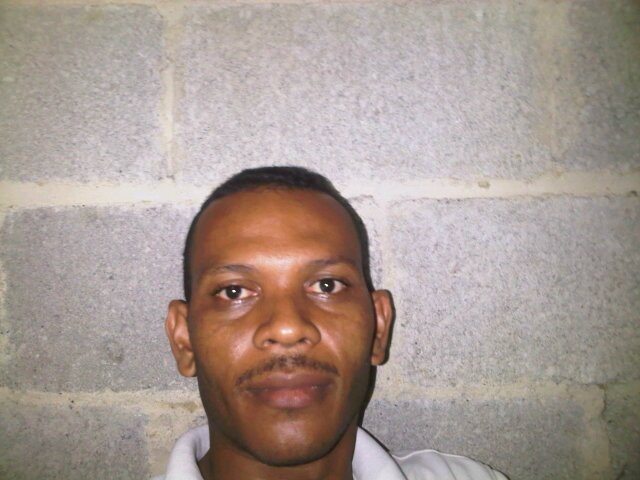 D BRITO DELL 209