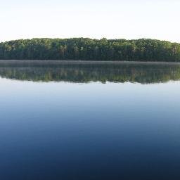 angelfischwi's profile picture. Writer, Reader, Cook, Non-Profit Administrator, #30days