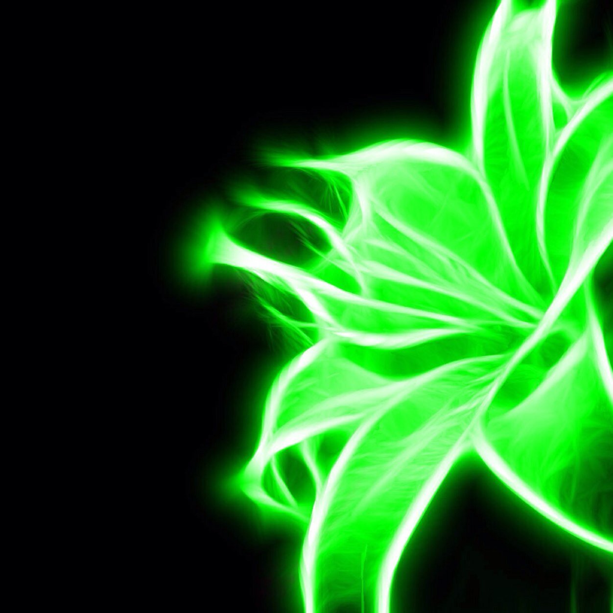 NEON COLORS (COLORSNEON) Twitter