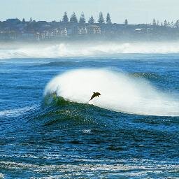 The Official Twitter Account for the Yamba NSW Writers Festival Dates               31 May - 1 June 2014