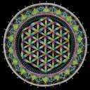 Steve fay - @yafevets - Twitter