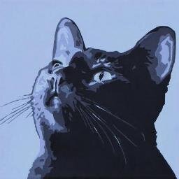 Cats under white sheets, lots of film and TV, fanwork

@ghostcat3000 on Tumblr
Ghostcat on AO3